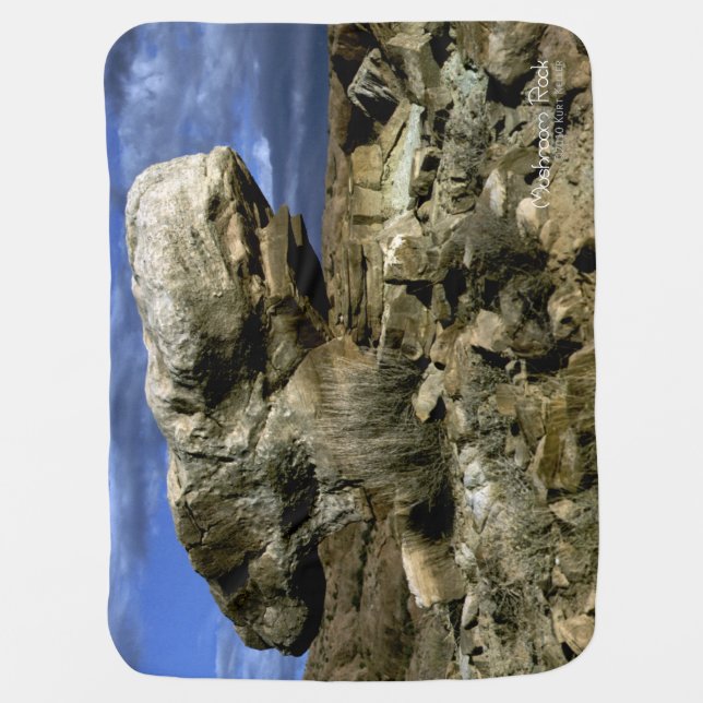 Mushroom Rock Baby Blanket (Front)