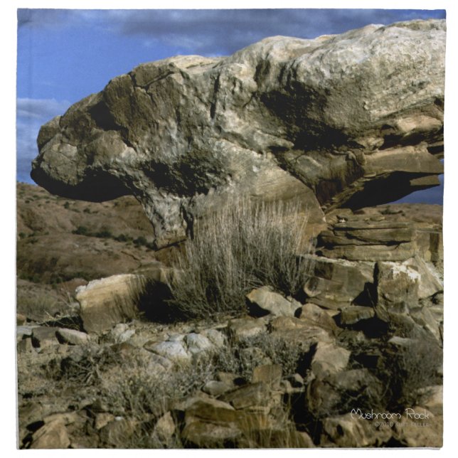 Mushroom Rock Cloth Napkin (Front)