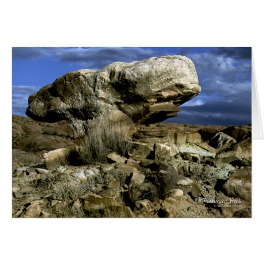 Mushroom Rock Color Photo Cards (Front Horizontal)
