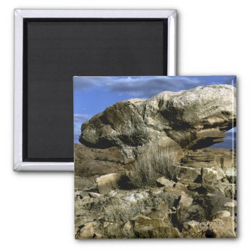 Mushroom Rock Color Photo Magnet