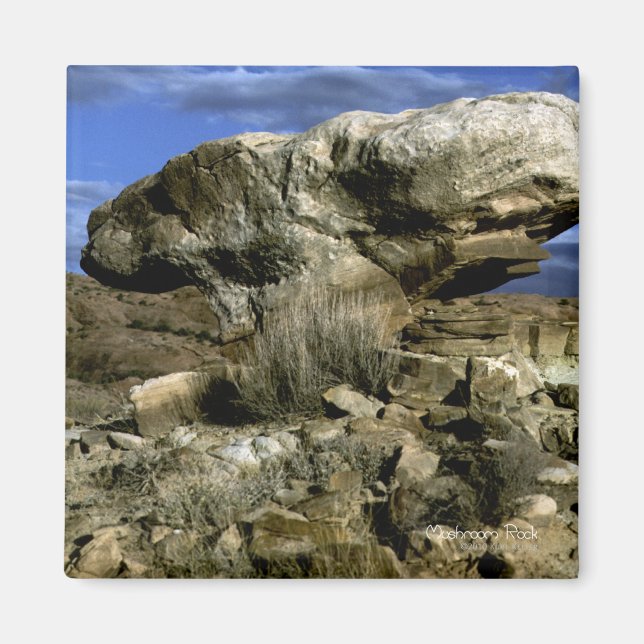 Mushroom Rock Color Photo Magnet (Front)