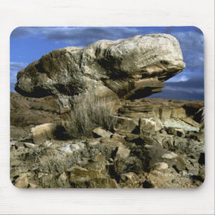 Mushroom Rock Color Photo Mouse Pad