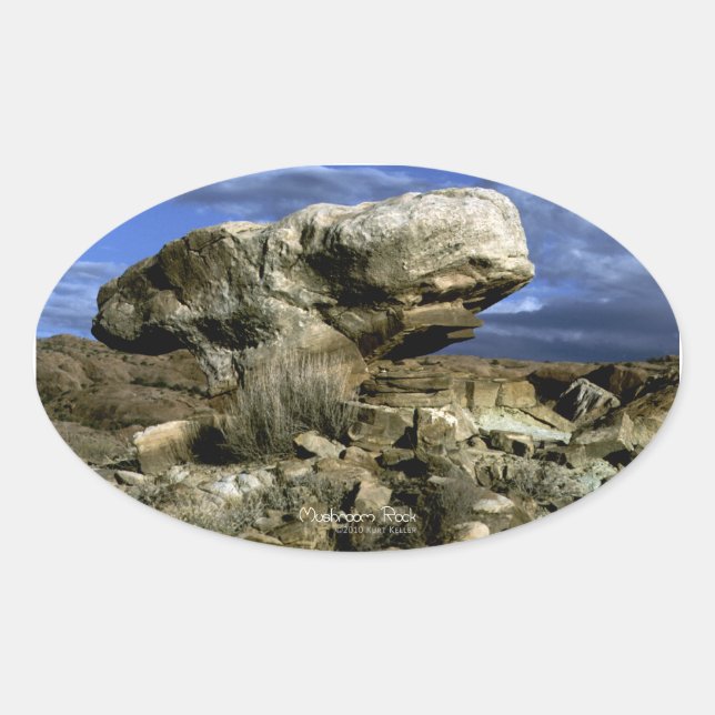 Mushroom Rock Color Photo Oval Sticker (Front)