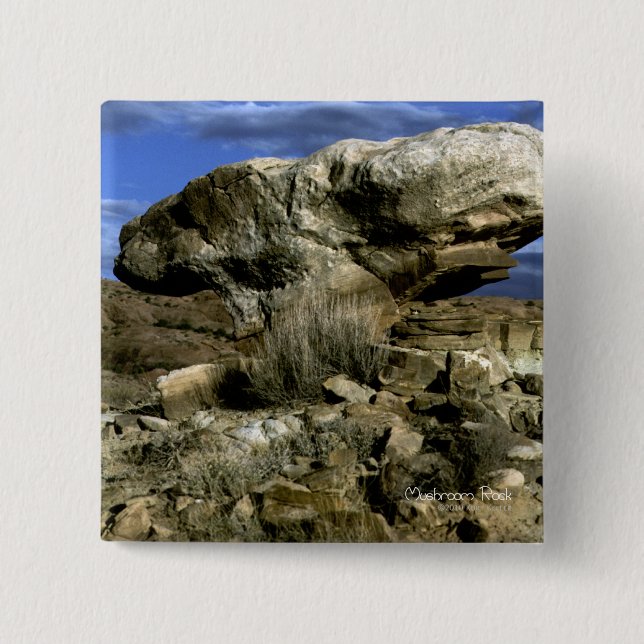 Mushroom Rock Color Photo Pinback Button (Front)