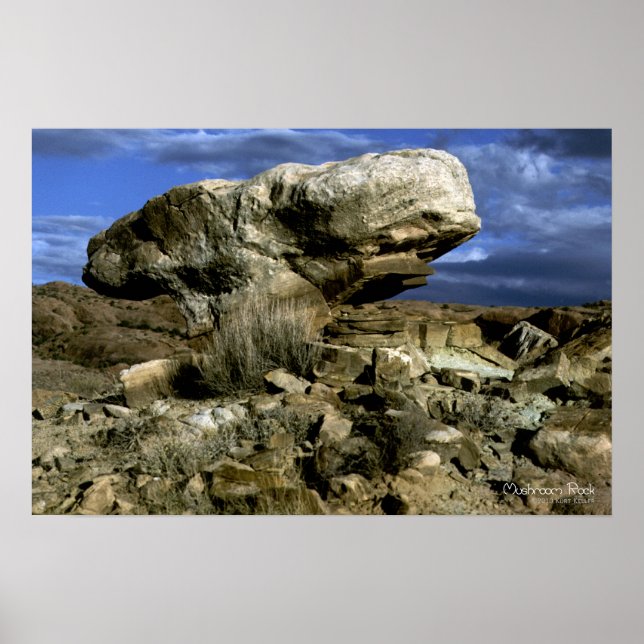 Mushroom Rock Color Photo Poster (Front)