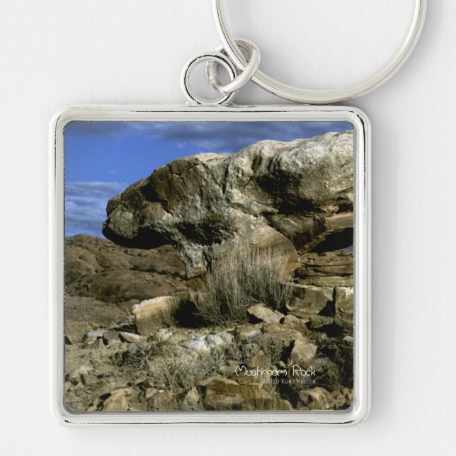Mushroom Rock Keychain (Front)