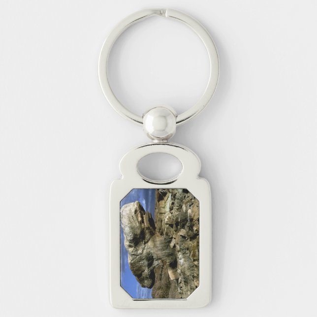 Mushroom Rock Keychain (Front)