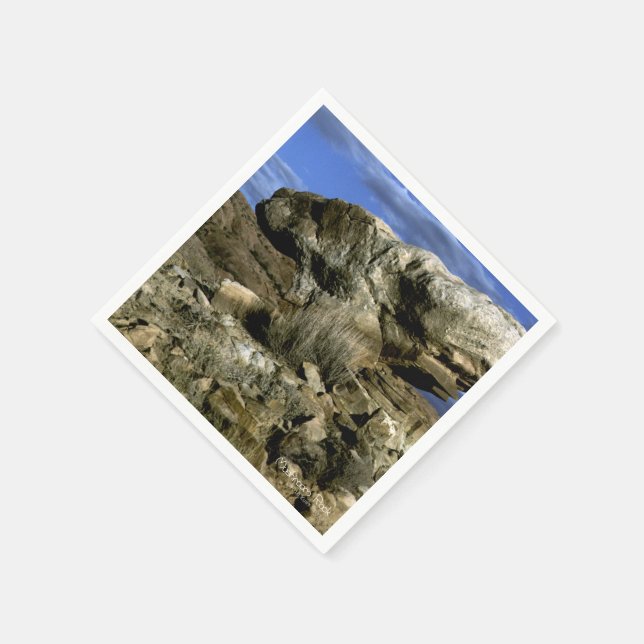 Mushroom Rock Napkins (Corner)