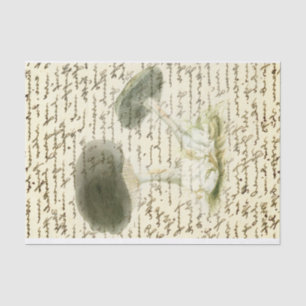 Mushroom sketch faded text distressed boho tissue paper