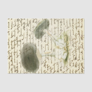 Mushroom sketch faded text distressed boho tissue paper