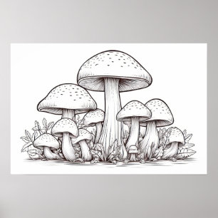 Mushroom sketch poster
