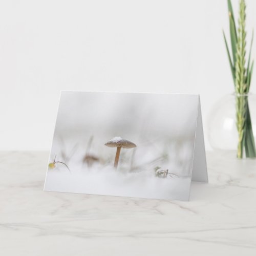 Mushroom Snow Winter Nature Photo Card