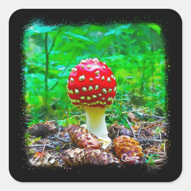 Mushroom Splatter - Envelope Stickers (Front)