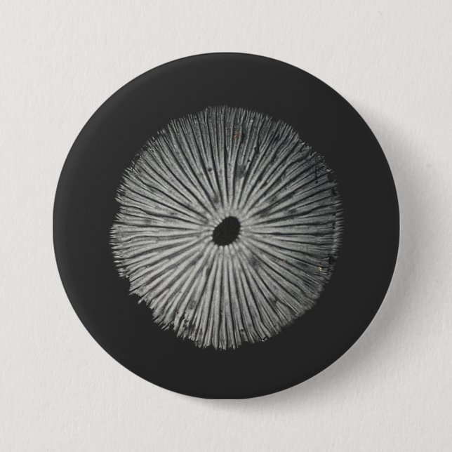 Mushroom spore button (Front)