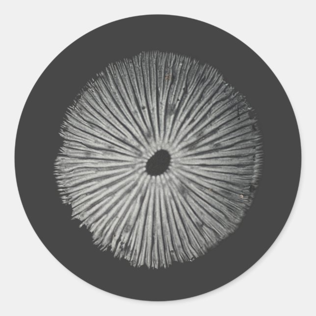 Mushroom spore classic round sticker (Front)