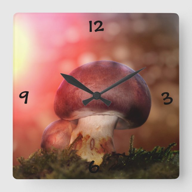 Mushroom Square Wall Clock (Front)