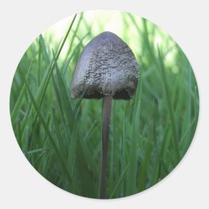 Mushroom Stickers