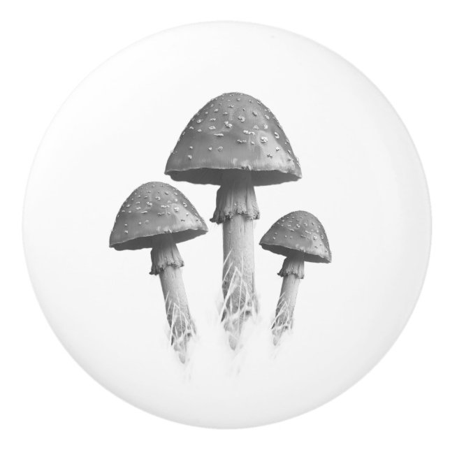 Mushroom trio ceramic pull (Front)