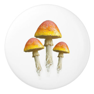 Mushroom trio ceramic pull (color)