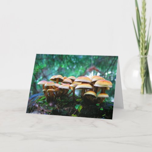 mushroom village card