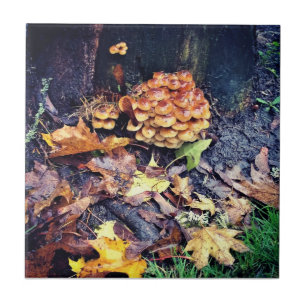 Mushroom Village Ceramic Tile