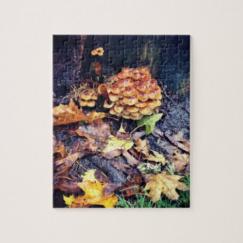 Mushroom Village Jigsaw Puzzle