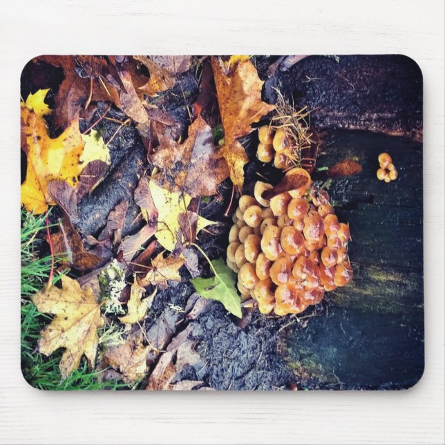 Mushroom Village Mouse Pad (Front)