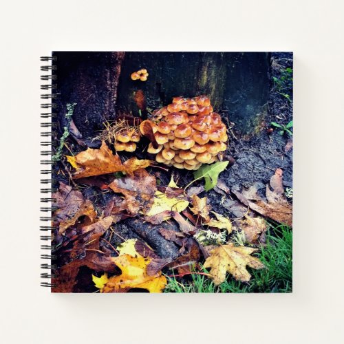 Mushroom Village Notebook