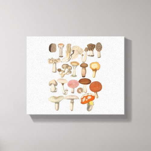 Mushroom Vintage Botanical Illustration  Canvas Print