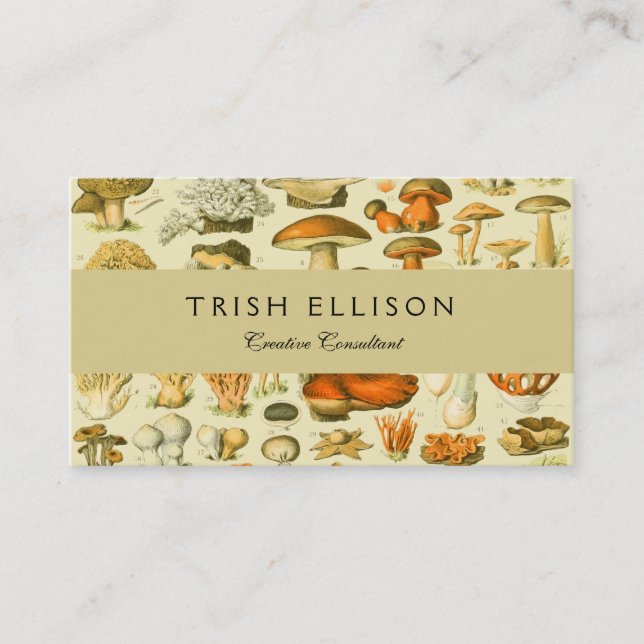 Mushroom Vintage Toadstool Antique Art Business Card (Front)