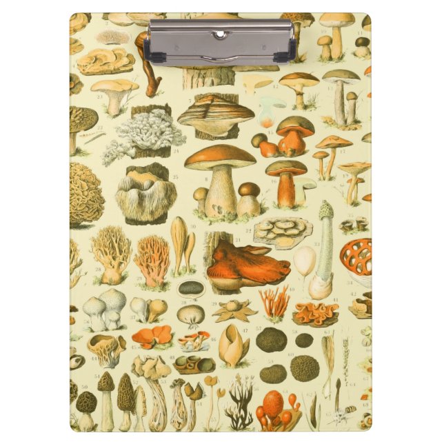 Mushroom Vintage Toadstool Antique Art Clipboard (Front)