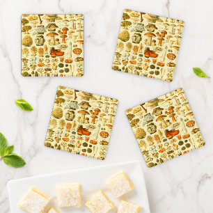 Mushroom Vintage Toadstool Antique Art Coaster Set