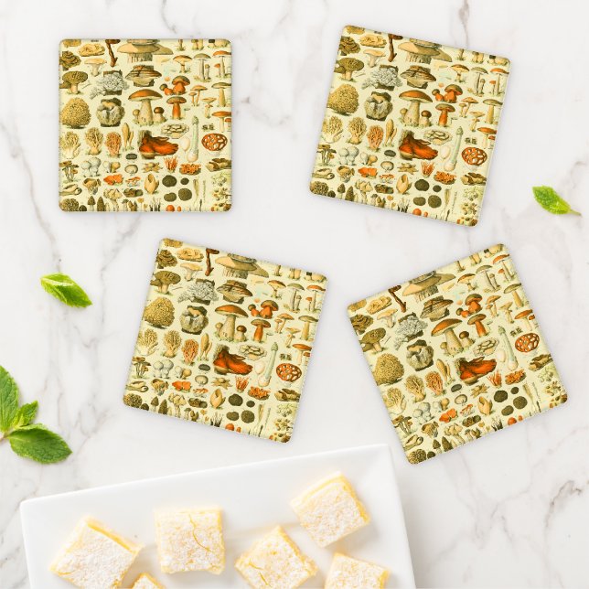 Mushroom Vintage Toadstool Antique Art Coaster Set (In Situ)