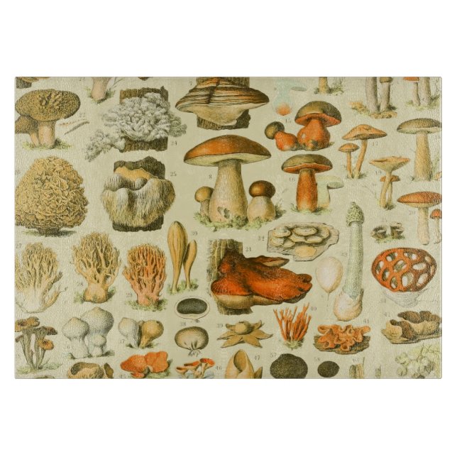 Mushroom Vintage Toadstool Antique Art Cutting Board (Front)