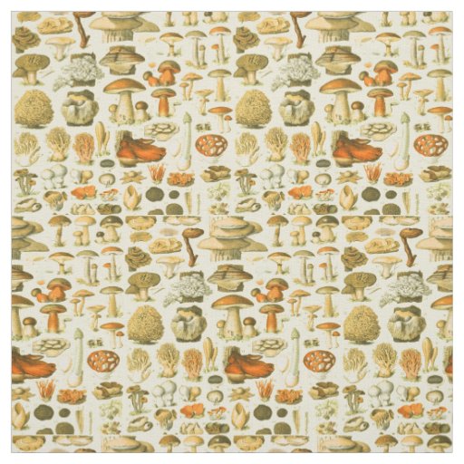 Mushroom Vintage Toadstool Antique Art Fabric