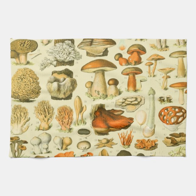 Mushroom Vintage Toadstool Antique Art Kitchen Towel (Horizontal)