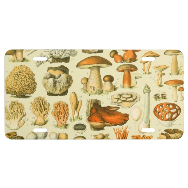 Mushroom Vintage Toadstool Antique Art License Plate (Front)