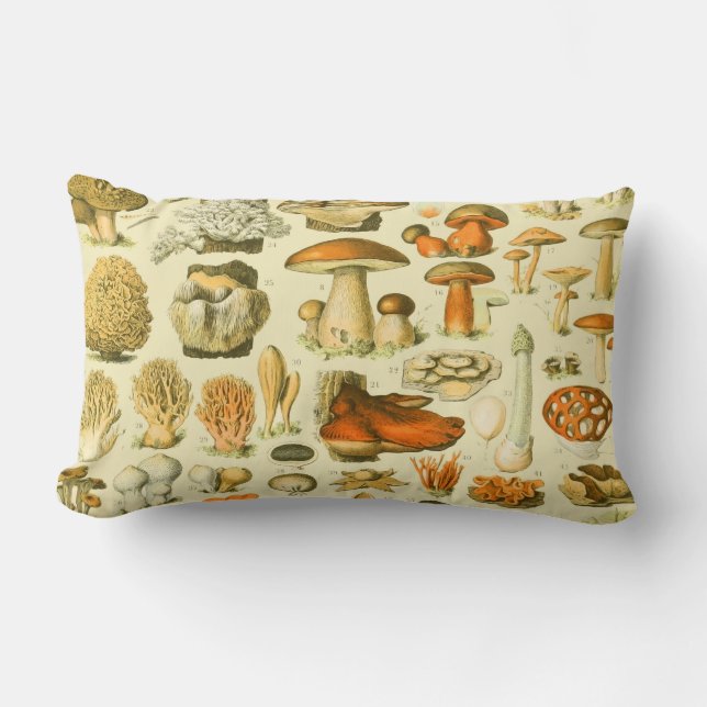 Mushroom Vintage Toadstool Antique Art Lumbar Pillow (Front)