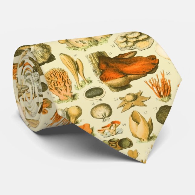 Mushroom Vintage Toadstool Antique Art Neck Tie (Rolled)