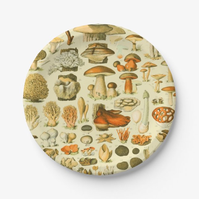 Mushroom Vintage Toadstool Antique Art Paper Plates (Front)