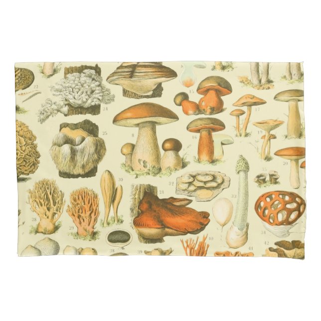 Mushroom Vintage Toadstool Antique Art Pillow Case (Front)