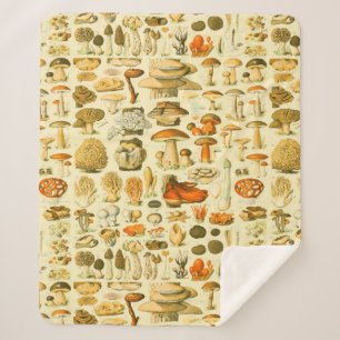 Mushroom Vintage Toadstool Antique Art Sherpa Blanket