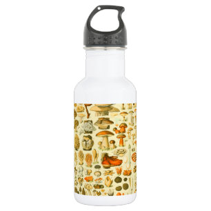 Mushroom Vintage Toadstool Antique Art Stainless Steel Water Bottle