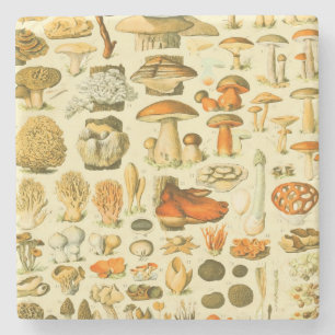 Mushroom Vintage Toadstool Antique Art Stone Coaster