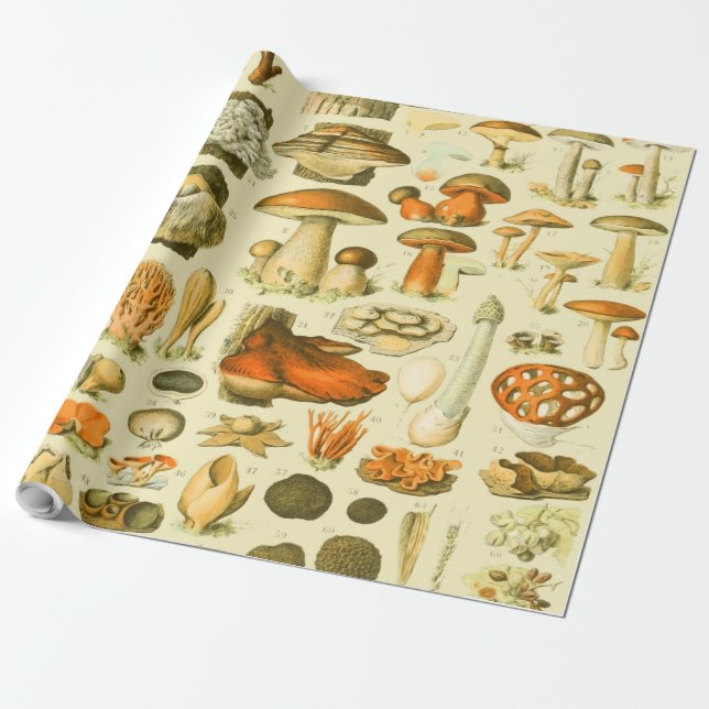 Mushroom Vintage Toadstool Antique Art Wrapping Paper (Unrolled)