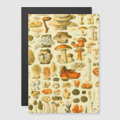 Mushroom Vintage Toadstool Antique Illustration (Front/Back)