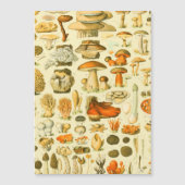 Mushroom Vintage Toadstool Antique Illustration (Front)
