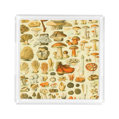 Mushroom Vintage Toadstool Antique Illustration Acrylic Tray