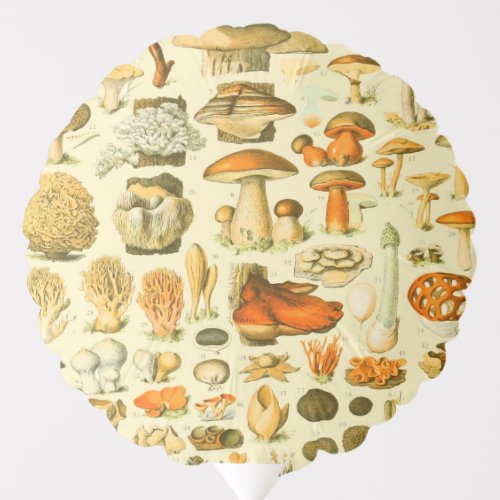 Mushroom Vintage Toadstool Antique Illustration Balloon