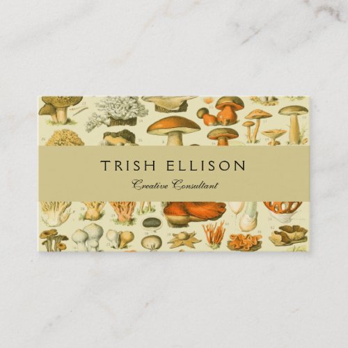 Mushroom Vintage Toadstool Antique Illustration Business Card